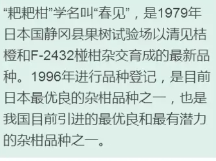枇杷柑是丑橘嗎？枇杷柑和丑橘的區(qū)別