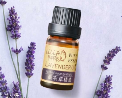 單方精油有哪幾種？單方精油分類