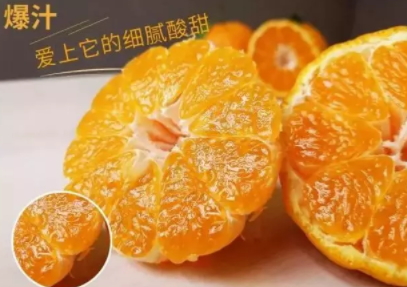 丑柑適合什么地方種植？丑柑上市時(shí)間