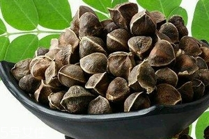 辣木籽哪里產(chǎn)的好？哪里的辣木籽最好？