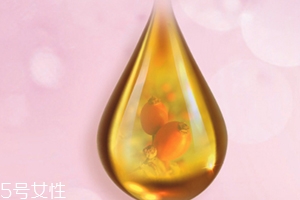 玫瑰果油可以天天用嗎？玫瑰果油多久用一次