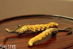 白蟲(chóng)草價(jià)格多少錢一斤 白蟲(chóng)草最新價(jià)格行情