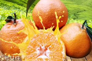 春見是什么水果？春見是丑八怪還是耙耙柑