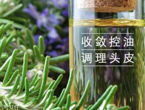 迷迭香精油怎么用？迷迭香精油使用注意事項