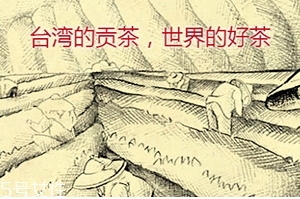 四云奶蓋貢茶哪個(gè)好喝？四云奶蓋貢茶點(diǎn)單攻略