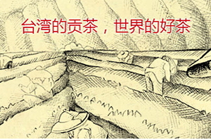 四云奶蓋貢茶哪個(gè)好喝？四云奶蓋貢茶點(diǎn)單攻略