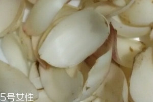 新鮮百合可以燉藕嗎？新鮮百合燉藕好吃嗎？