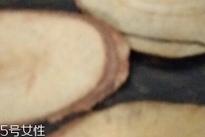東革阿里是中藥嗎？東革阿里是什么？