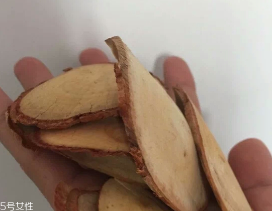 東革阿里是中藥嗎？東革阿里是什么？