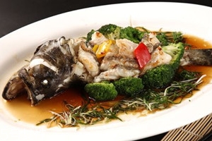 龍躉魚的營養(yǎng)價(jià)值 龍躉魚多少錢一斤2018