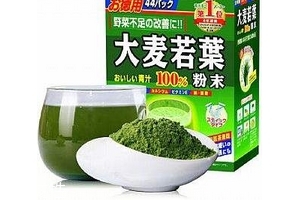 大麥若葉青汁小孩可以喝嗎？