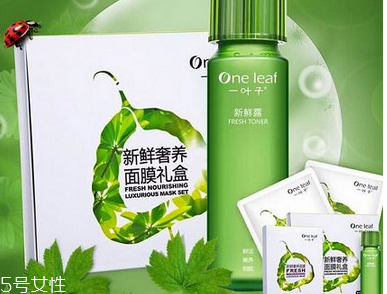 一葉子適合敏感肌膚嗎 一葉子面膜可以放冰箱嗎 一葉子適合敏感肌膚嗎 一葉子面膜可以放冰箱嗎