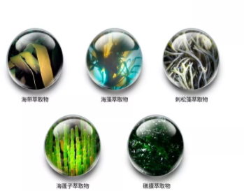 jm防曬噴霧什么味道？jmsolution防曬噴霧好聞嗎？