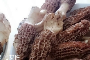 羊肚菌是什么東西？羊肚菌能吃嗎？
