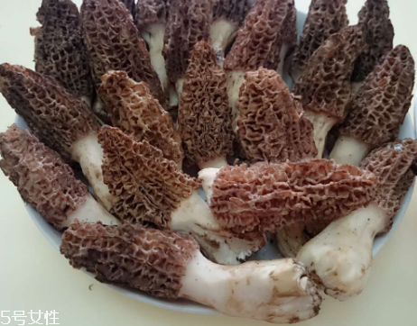 羊肚菌是什么東西？羊肚菌能吃嗎？