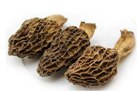 羊肚菌是發(fā)物嗎？羊肚菌屬于發(fā)物嗎？