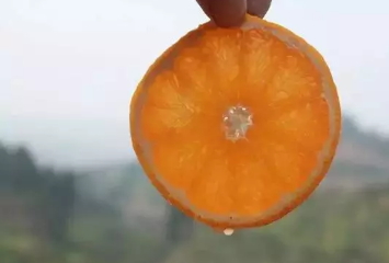 青見柑橘上火嗎？青見柑橘一天吃幾個(gè)好