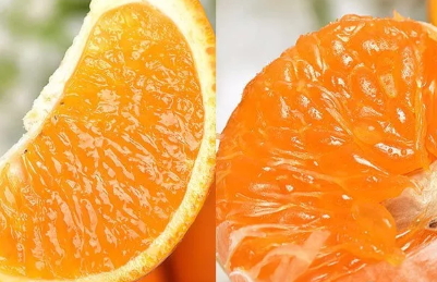 青見柑橘好吃嗎？青見柑橘酸嗎