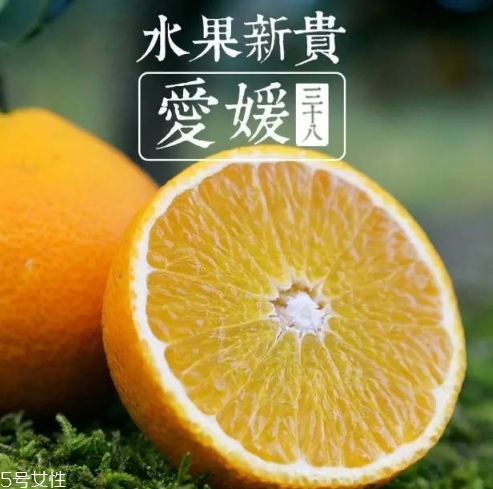 愛媛38號多少錢一斤？愛媛38號柑桔市場行情