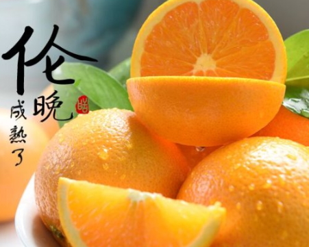 倫晚臍橙和夏橙哪個好？倫晚臍橙和其他橙子的區(qū)別