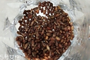 青稞茶怎么沖泡？青稞茶沖泡方法