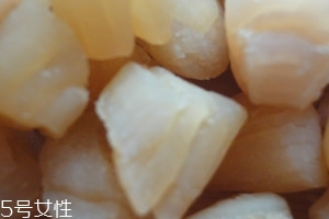 干貝是海鮮嗎？干貝是什么動(dòng)物做的？