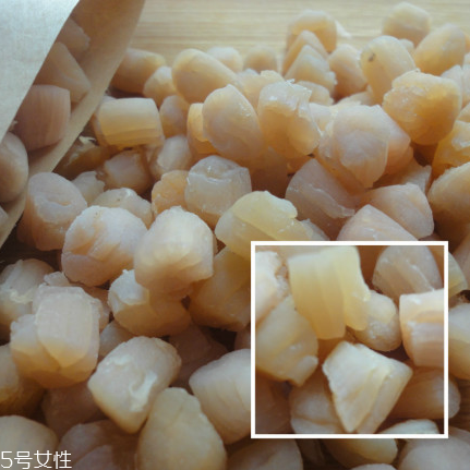 干貝是海鮮嗎？干貝是什么動(dòng)物做的？