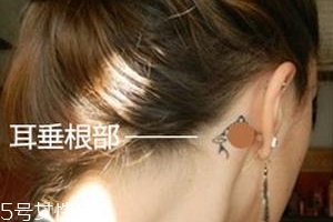 暈車(chē)貼貼哪里？暈車(chē)貼貼哪里示意圖