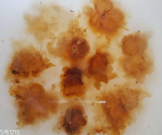 桃膠能生吃嗎？生吃桃膠可以嗎？