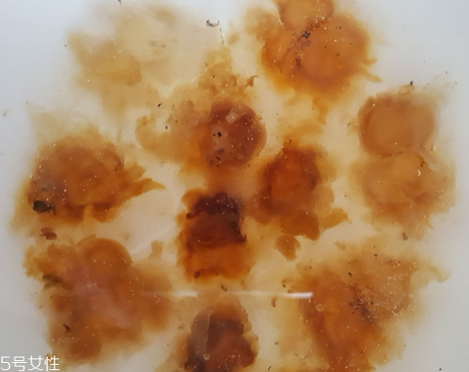 桃膠可以用開水泡嗎？用開水泡桃膠好嗎？