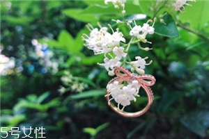 戒指掉進下水道怎么辦？戒指掉下水道了怎么撿