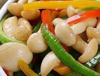 白玉菇怎么吃？白玉菇怎么做好吃