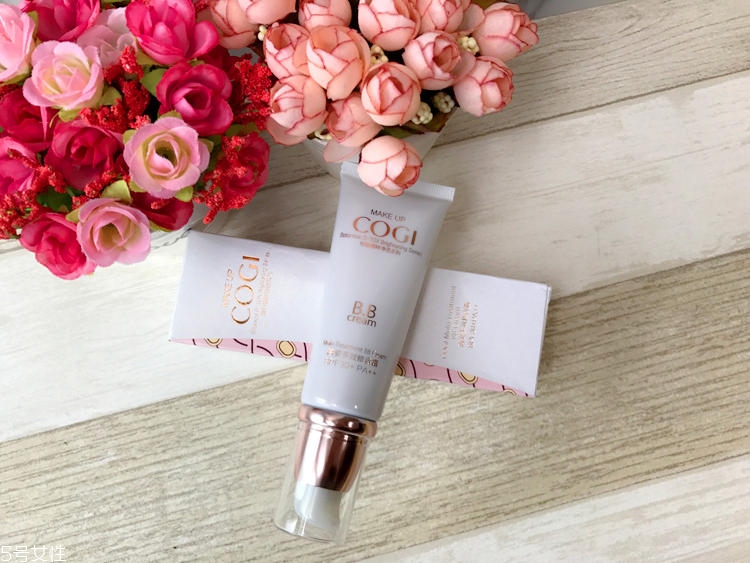 高姿多效BB霜適合油皮嗎 高姿多效BB霜油不油 高姿多效BB霜適合油皮嗎 高姿多效BB霜油不油