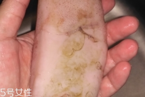 魷魚是海鮮嗎？魷魚屬于海鮮嗎？