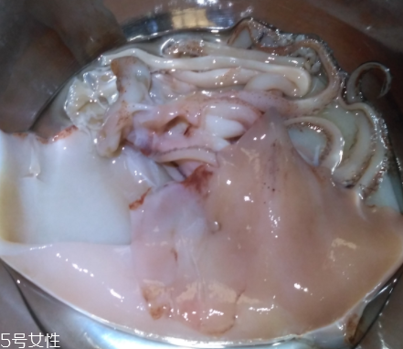 魷魚是海鮮嗎？魷魚屬于海鮮嗎？