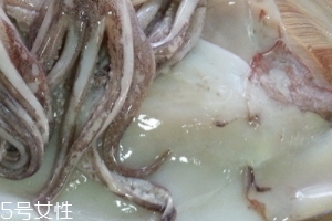魷魚(yú)是烏賊嗎？魷魚(yú)跟烏賊是一種嗎？