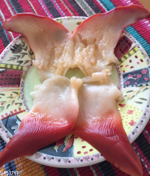 北極貝是海鮮嗎？北極貝介紹