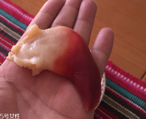 北極貝是海鮮嗎？北極貝介紹