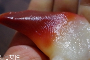 北極貝能不能煮？煮北極貝可以嗎？