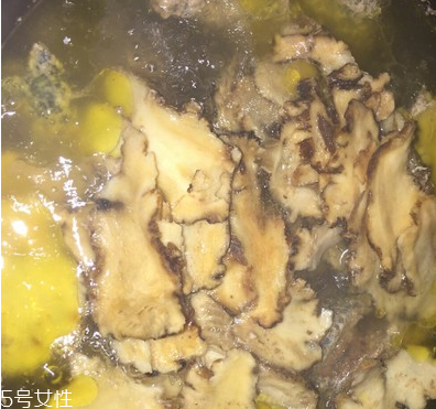 烏骨雞是烏雞嗎？烏骨雞是什么雞？