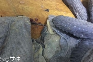 烏雞下奶嗎？烏雞怎么吃下奶？