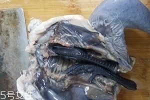 烏雞是公雞好還是母雞好？烏雞買公雞還是母雞？