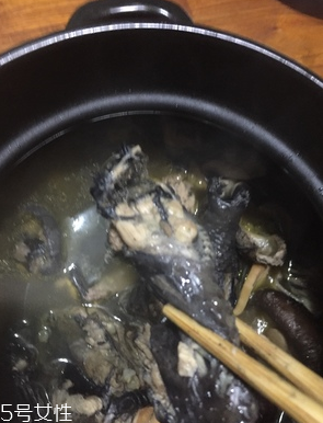 烏雞是公雞好還是母雞好？烏雞買公雞還是母雞？