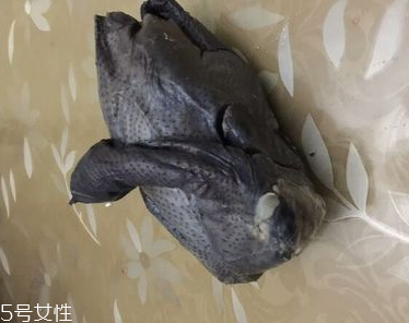 烏雞是熱性還是涼性？烏雞偏熱還是偏涼？