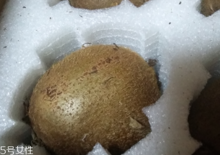 綠心獼猴桃硬的能吃嗎？硬的綠心獼猴桃能吃嗎？