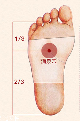 溢涌堂老北京足貼價(jià)錢 溢涌堂老北京足貼多少錢？
