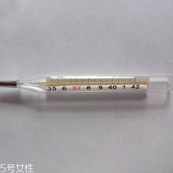 體溫計多少錢？體溫計價格