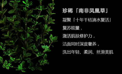 阿瑪尼洗面奶怎么樣？阿瑪尼洗面奶評測