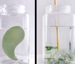 悅蕾眼膜多少錢(qián)一盒？悅蕾眼膜一盒多少片
