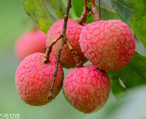 荔枝是涼性還是熱性？月經(jīng)來了能吃荔枝嗎